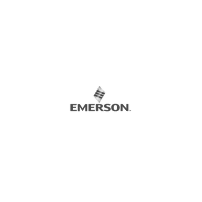 Emerson-Process Liquid System